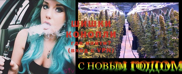 ешки Бронницы