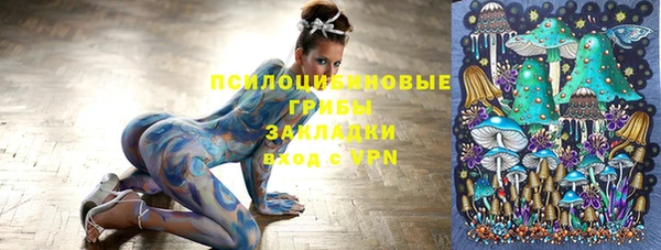 ешки Бронницы