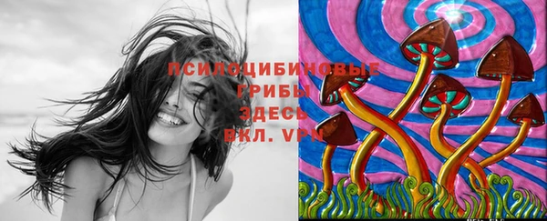 соль курить ск Бугульма