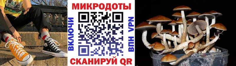 Галлюциногенные грибы мухоморы  гидра tor  Прокопьевск 
