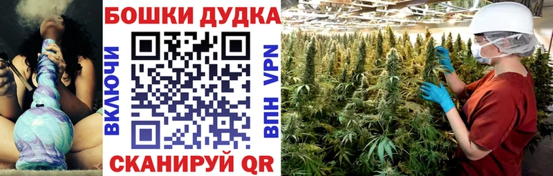 Бошки Шишки конопля  Прокопьевск 